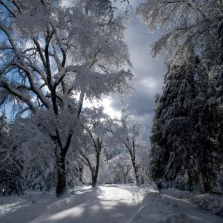  photo image_zpse63b918d.jpg