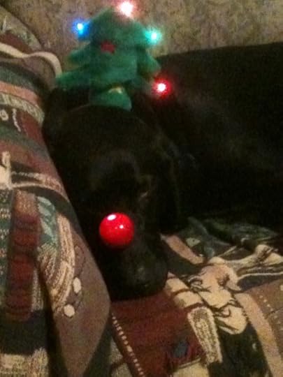 Chrismas Dog