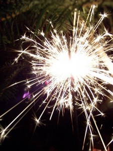 Look how shiny it is! (Photo by Gnal)