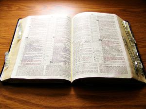 Bible bread-of-life-316287-m