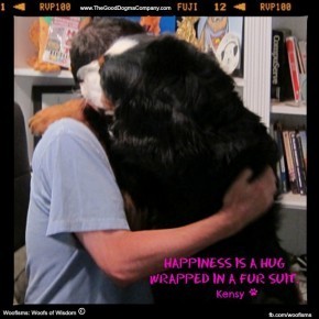 Ihug2MG 3570 290x290 Woofisms: Woofs of Wisdom© funny dog blog