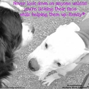 lookup 290x290 Woofisms: Woofs of Wisdom © funny dog blog