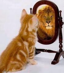 kitty lion morror