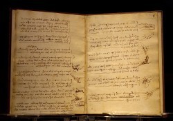 Da Vinci's Codex on the Flight of Birds