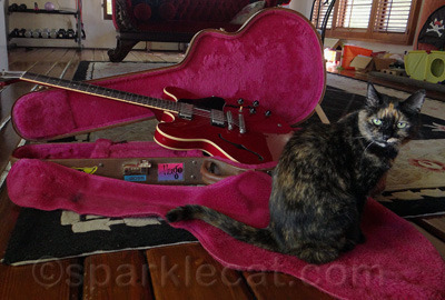 I'm surprised she hasn't tried to bite the strings