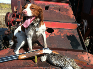 Misty poses with our one and only towering bird. 
