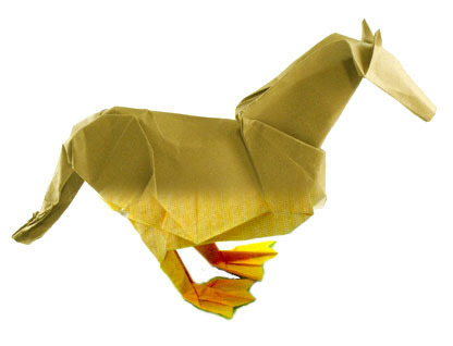 hock or durse?