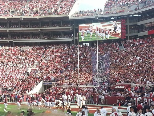 Pretty great seats, huh?