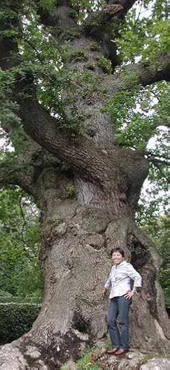 tomoko bristol 2004