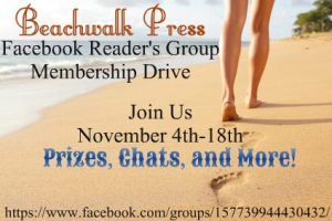 Beachwalk press Readers Group Drive Banner