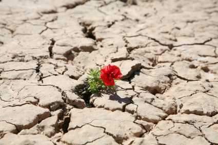 resilience