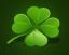 clover1