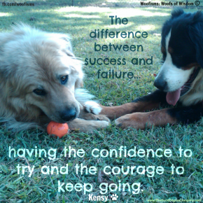 diffIMG00462 20101008 1149 290x290 Woofisms: Woofs of Wisdom © funny dog blog