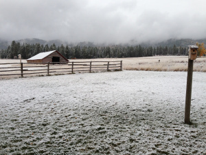 More where this came from ...