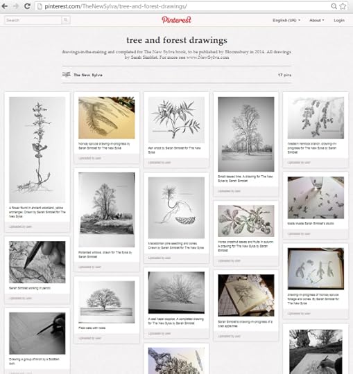 Pinterest board for The New Sylva