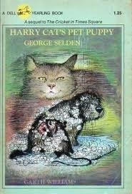 harry cats pet puppy