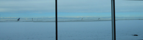 DSCN0514