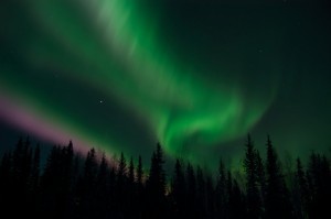 iStock_000009703766Small