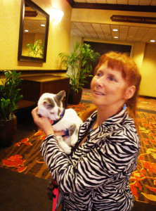 CWA 2013 013