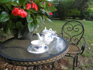 SAMSUNG DIGITAL CAMERA