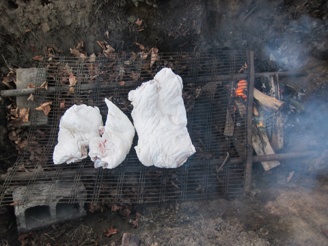 Pig, fire, pit. Happiness