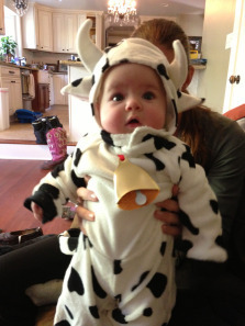 Abby as cow