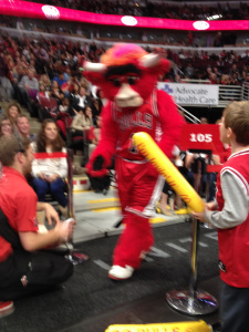 BULL