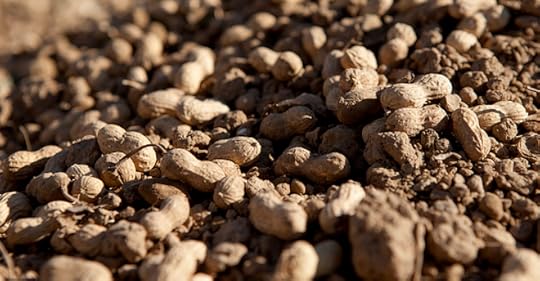 “Sh*t, Just Ship It”: Felony Prosecution for Salmonella-Peanut Executives