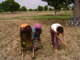 A day in the life of a woman agricultural policy adviser in West Africa