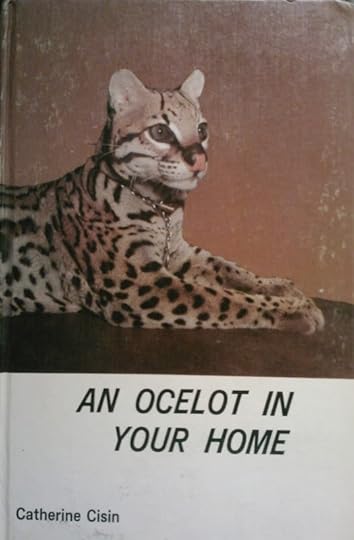 Ocelot