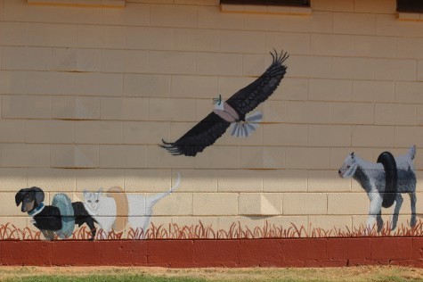 There's a baby burro with a floaty mat around the corner.