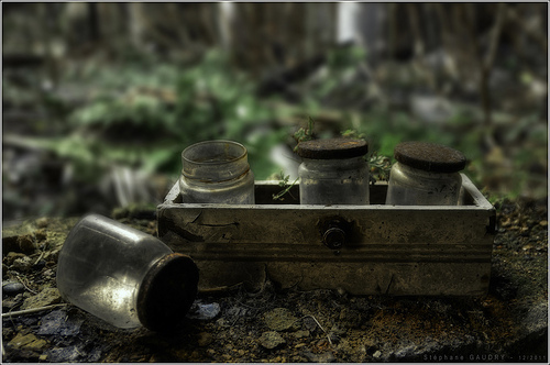 Nature in jars