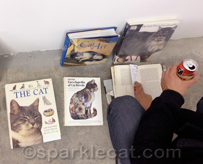 My human recognized several of the books