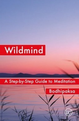 wildmind cover