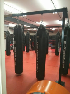 asylum heavy bags