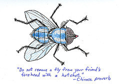 fly