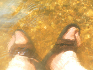 SAMSUNG DIGITAL CAMERA