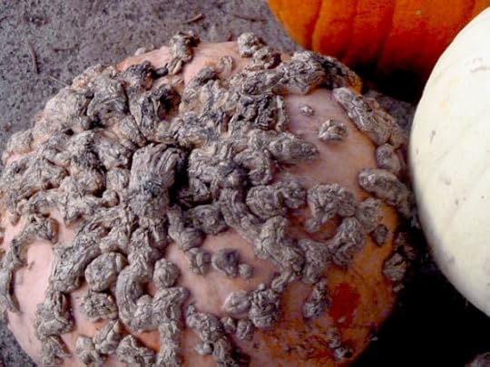 bumpy-pumpkin
