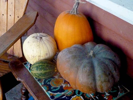 assorted-gourds