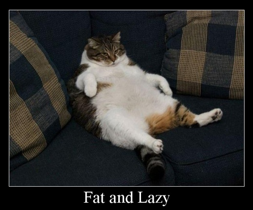 Screen Shot 2013-11-05 at 11.25.02