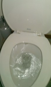 This is the only picture I've reused. What does that say about me?