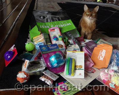 I'm making my human thank all these sponsors!