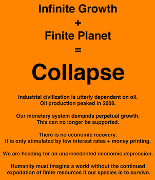 Infinite Growth + Finite Planet = Collapse