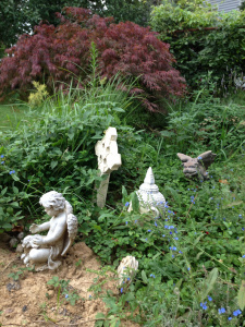 photo (2)