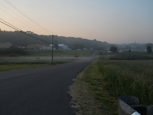 mist crosses the road