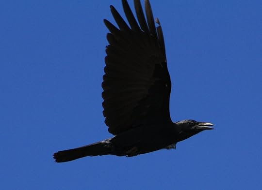 Image and video hosting by TinyPic