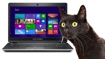 dell_laptop_cat