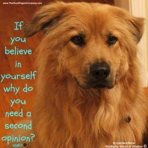 believe MG 1734 290x290 Woofisms: Woofs of Wisdom© funny dog blog