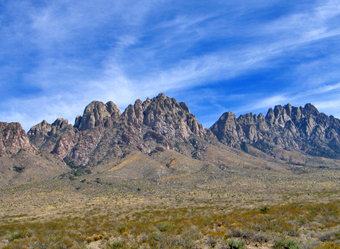 organ-mountains31