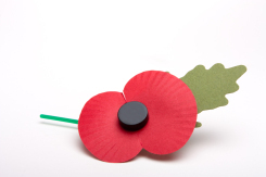 Poppy Day